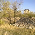 «Сель» накрыл лесопосадки