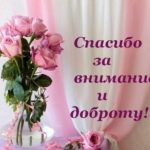 Спасибо за внимание и заботу