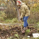 Ошибки, которые совершают дачники каждую осень
