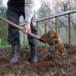 Внесение навоза осенью