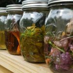 4 травы быстро очистят кровь и оздоровят внутренние органы