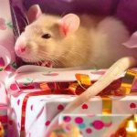 Гороскоп на год Крысы по Восточному календарю