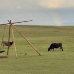 Солнце, воздух и вода. Как недорого отдохнуть в кризис