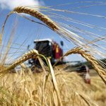 За сухими цифрами статистики