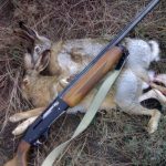 Ввести новые штрафы за незаконный отстрел предлагают в Кыргызстане