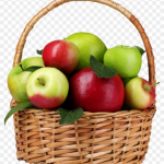 Почему опадают яблоки?