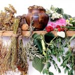 Травы при менопаузе: облегчение приливов и улучшение настроения