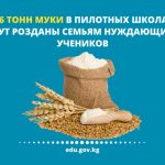 116 тонн муки получат семьи нуждающихся учеников