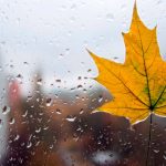 Дожди, в горах снег — прогноз погоды на 1 октября