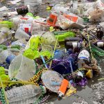 Экология: в 2019 году вывезено более одного миллиона тонн бытового мусора