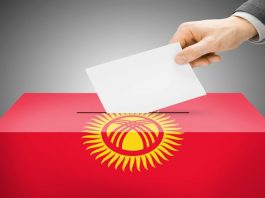 Досрочные президентские выборы пройдут 10 января 2021 года