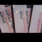 В паспортах кыргызстанцев вновь появится графа «национальность»