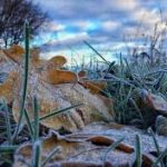 Прогноз погоды на неделю в Бишкеке