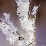 Штормовое предупреждение: в Кыргызстане ожидается похолодание