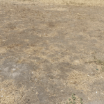 Выжженные газоны уже устали просить воды