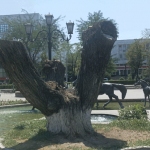 Обрежут наши ивушки под самый корешок?