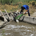Нельзя поливать поля стоками