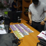 Брали не борзыми щенками