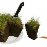 Кто в ускоренном режиме останется без земли?