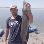 Как поймать крупного змееголова