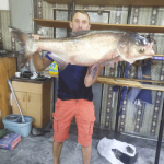 Как ловят толстолобика рыболовы-спортсмены