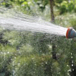 Сколько нужно поливать сад в засуху: нормы для деревьев и кустарников