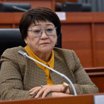 Депутат предложила законодательно запретить никаб и паранджу