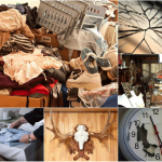 Камыши,ракушки и еще 8 вещей, которые нельзя держать дома