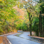 Осень предоставляет варианты для любителей природы вокруг Стамбула