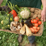 Кыргызстан хочет в три раза увеличить площади земель под органическое земледелие к 2030 году