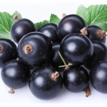 Цвет настроения — черный: ягода, которая снижает холестерин и чистит печень