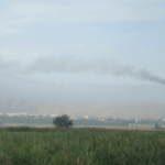 Дым чёрный, дым белый – словно Папу выбирают