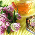 Два простых рецепта с клевером