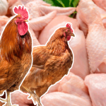 Китай увеличил экспорт курятины в Кыргызстан в 4 раза в январе-августе