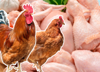 Китай увеличил экспорт курятины в Кыргызстан в 4 раза в январе-августе