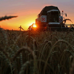 Россия начала поставку миллиона тонн зерна нуждающимся странам