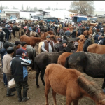 В Кыргызстане 20 скотных рынков не соответствует ветеринарно-санитарным требованиям