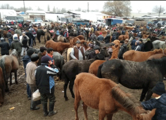 В Кыргызстане 20 скотных рынков не соответствует ветеринарно-санитарным требованиям