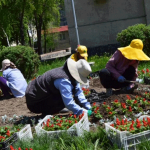 Лето позади, давайте подведем итоги!