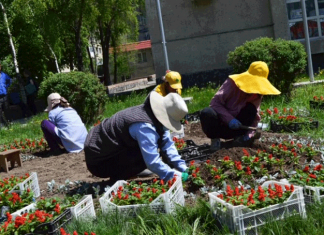 Лето позади, давайте подведем итоги!