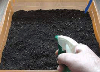 Обработка почвы от болезней и вредителей осенью