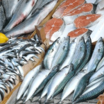 Чуйская рыба вновь пойдёт в Россию