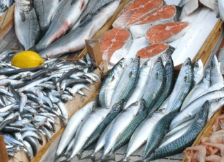 Чуйская рыба вновь пойдёт в Россию