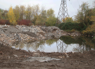 Вода нужна, но пруды уничтожают