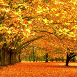 В ноябре кыргызстанцы будут отдыхать 5 дней подряд