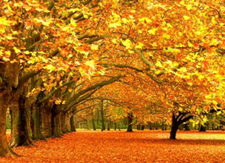 В ноябре кыргызстанцы будут отдыхать 5 дней подряд