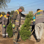 Мы сделаем вам красиво!