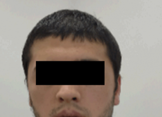 Под крылом джихадистов