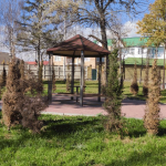 Печальный вид неухоженного парка