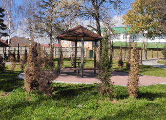 Печальный вид неухоженного парка